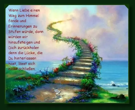 Condolence image of Ein Rosenmeer für  Timmy Sternchen 