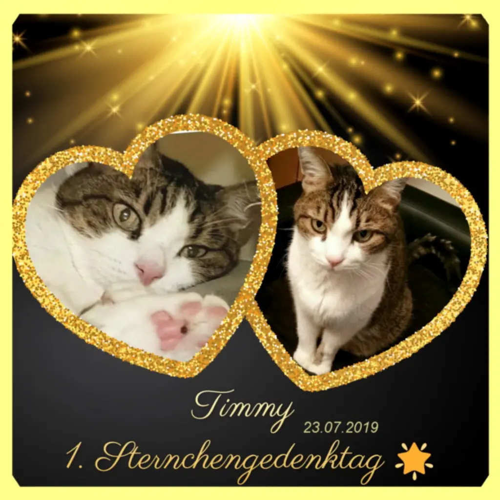 Condolence image of Sabine mit Kaspar tief im Herzen