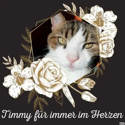 Condolence image of Jutta mit Purzel tief im Herzen ✟ 08.05.2016