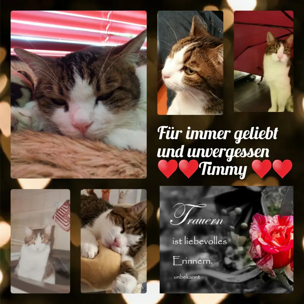 Condolence image of Ellen mit Lina ♥️