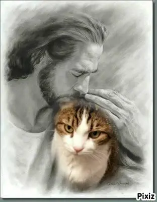 Condolence image of ❤️TIMMY❤️