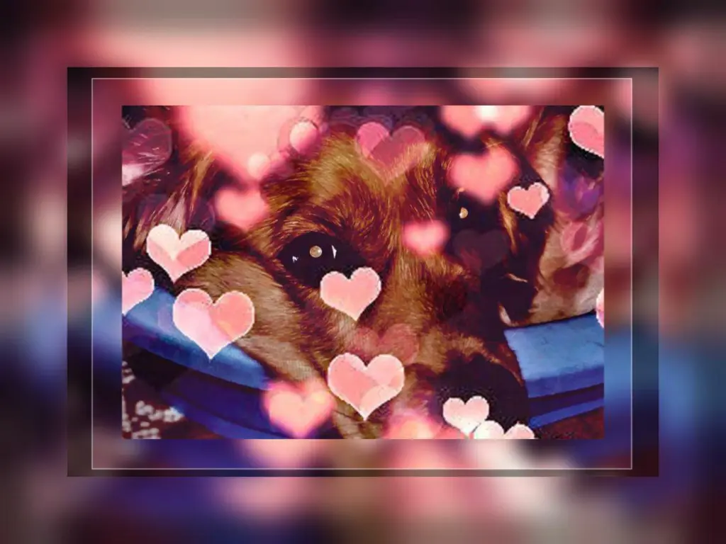 Condolence image of Ellen mit Lina ♥️