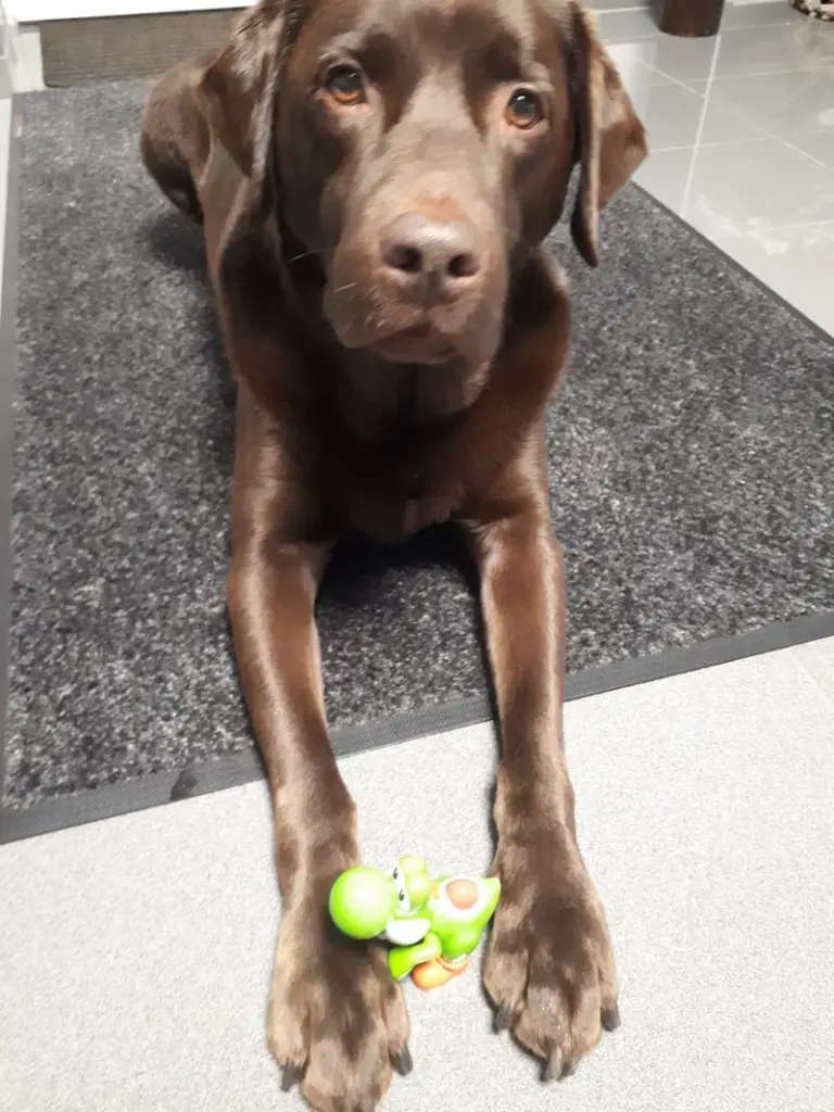 Condolence image of Jutta mit Flash