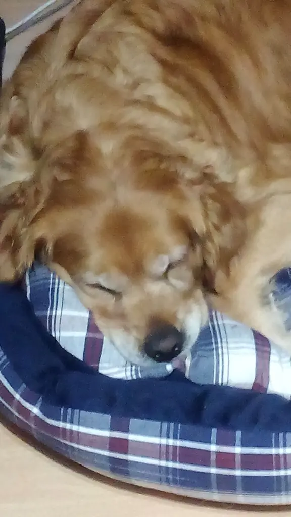 Condolence image of Ellen mit Lina ♥️