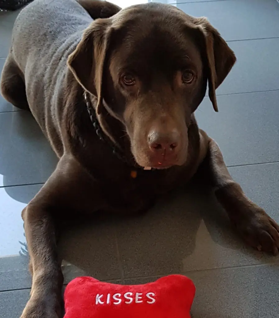 Condolence image of ❤❤ Jutta mit Flash im ❤❤ ( 17.01.20)