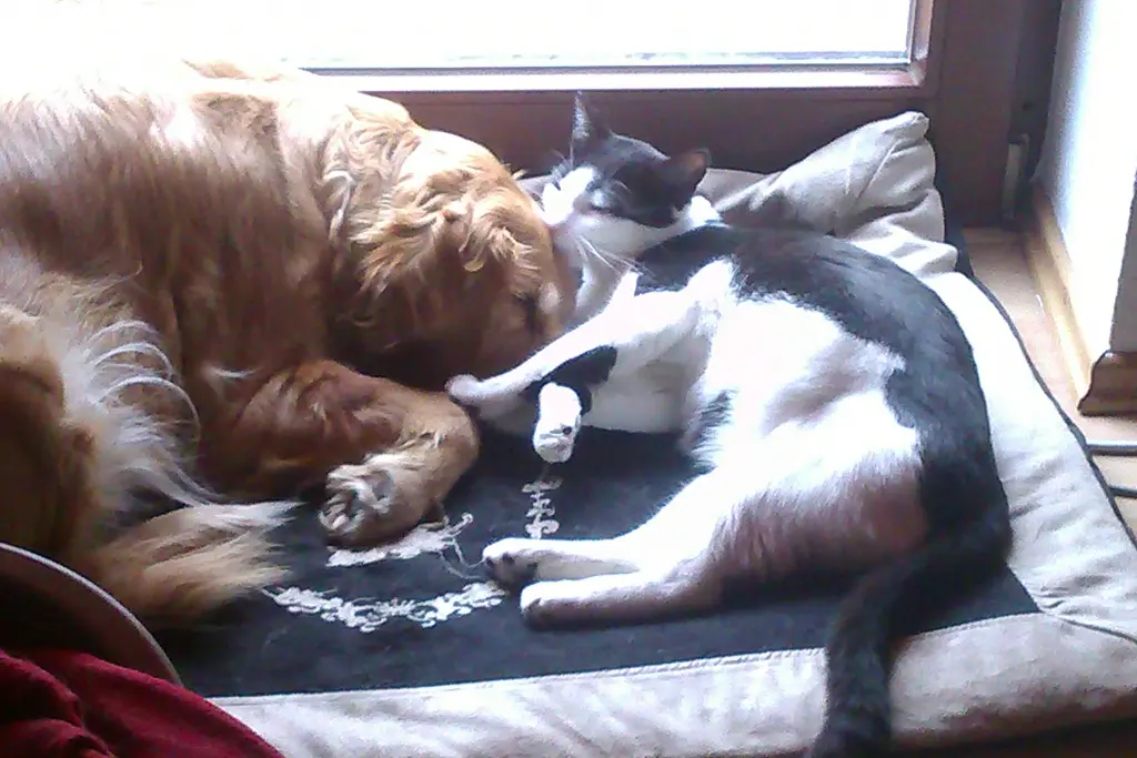 Condolence image of Ellen mit Lina ♥️