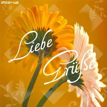 Condolence image of Ellen mit Lina ♥️