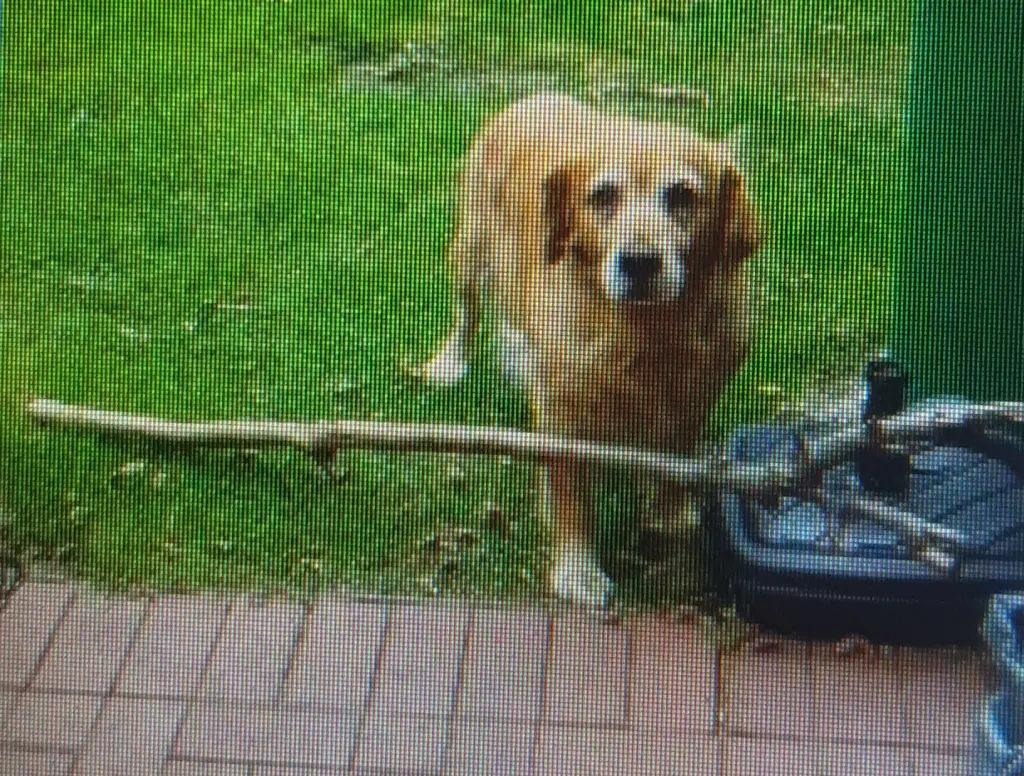 Condolence image of Ellen mit Lina ♥️