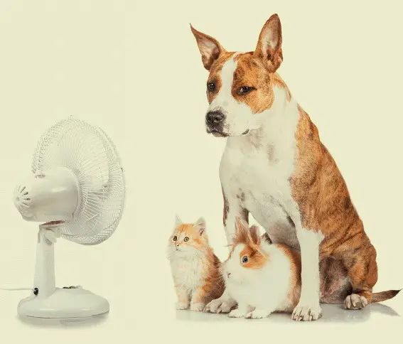 Condolence image of Sabine mit Kaspar tief im Herzen