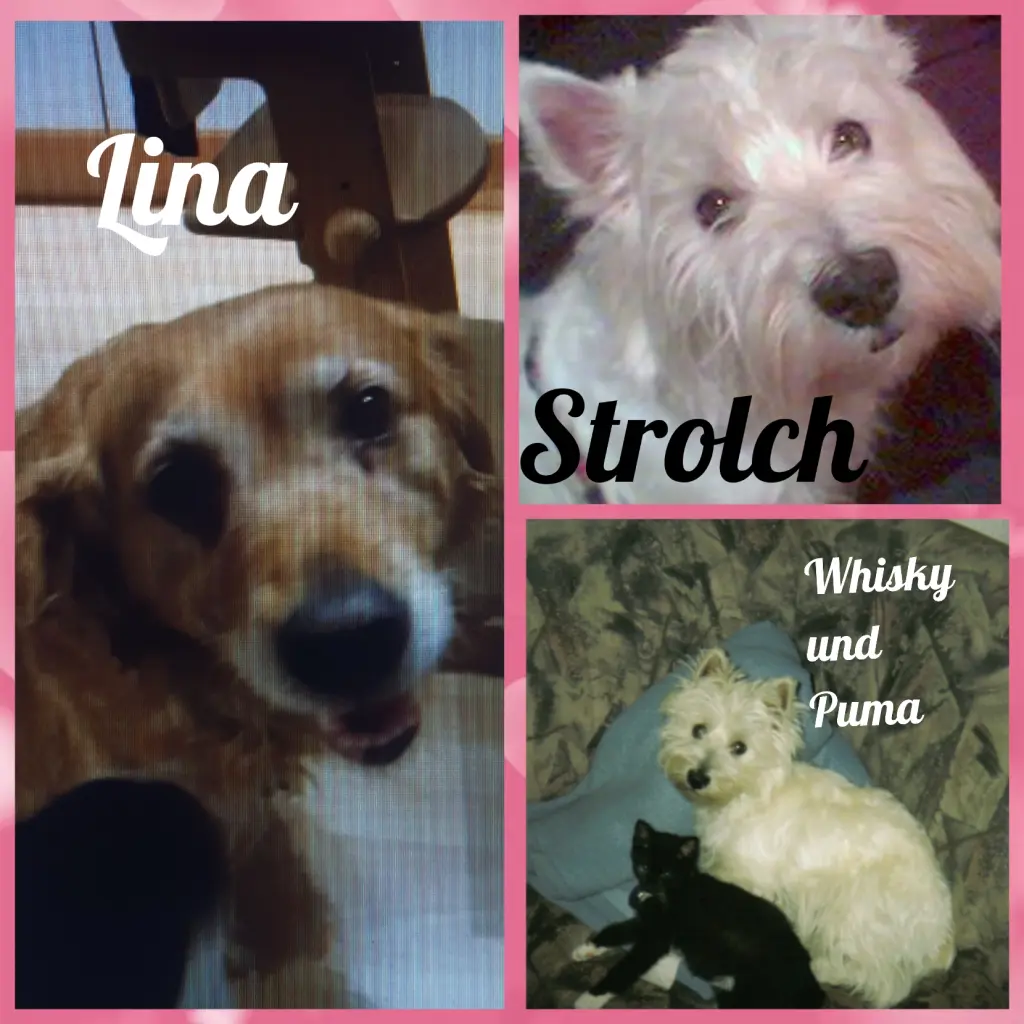 Condolence image of Ellen mit Lina ♥️