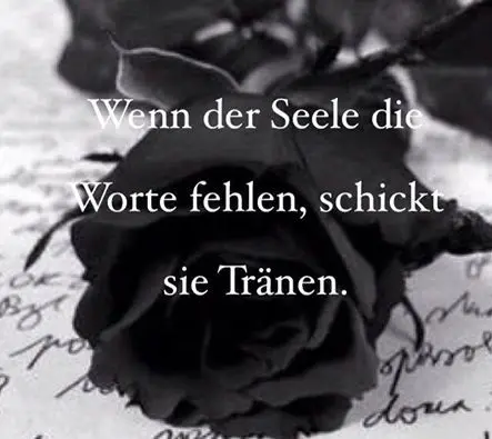 Condolence image of Ellen mit Lina ♥️