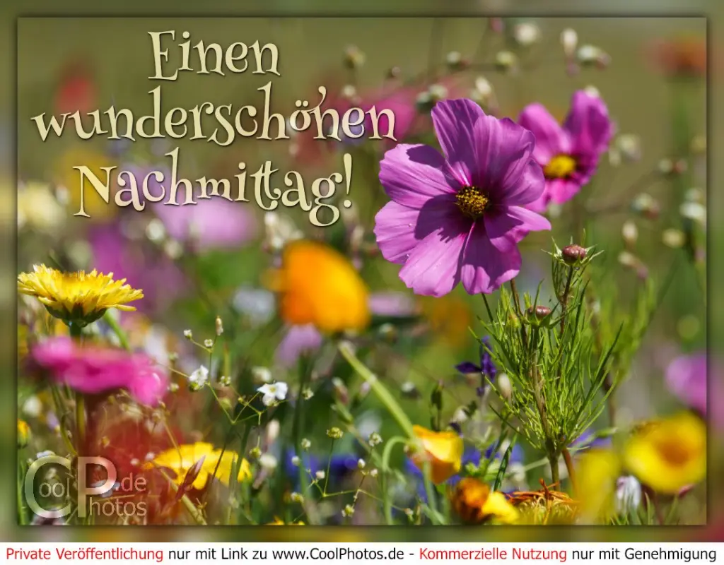 Condolence image of Einen schönen Nachmittag ins Regenbogenland ♥️