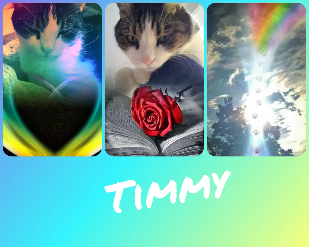 Condolence image of Ellen mit Lina ♥️