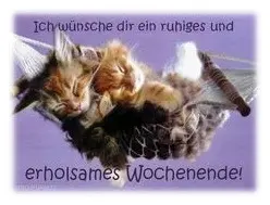 Condolence image of Sabine mit Kaspar tief im Herzen