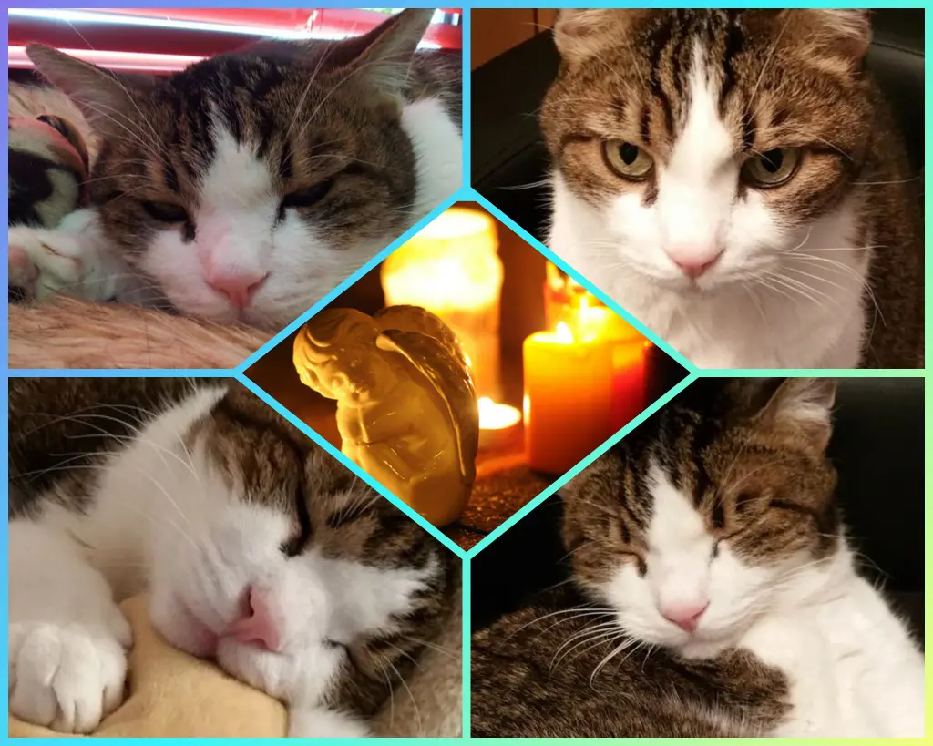 Condolence image of Für Engelchen Timmy ♥️♥️