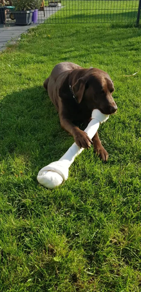 Condolence image of Jutta mit ♥️♥️♥️♥️ Flash ♥️♥️♥️♥️♥️♥️