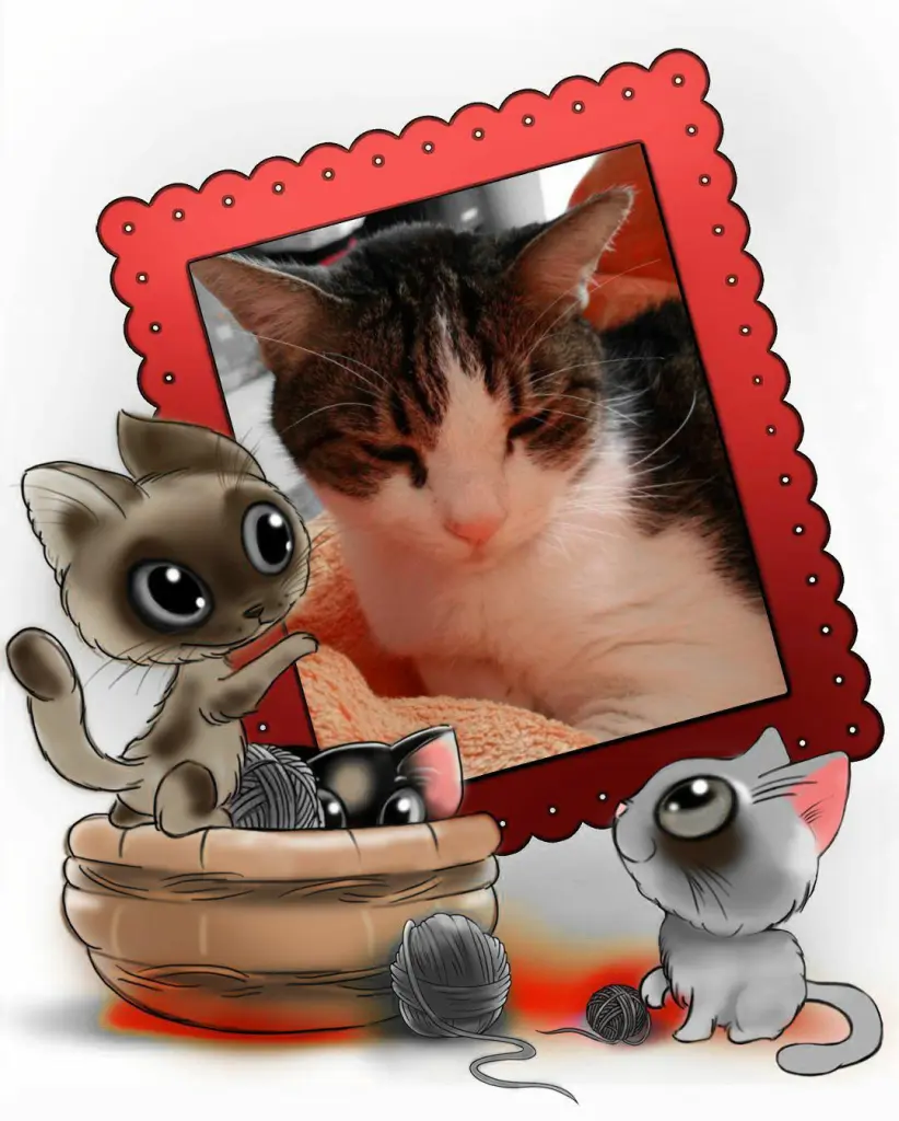 Condolence image of Ellen mit Lina ♥️