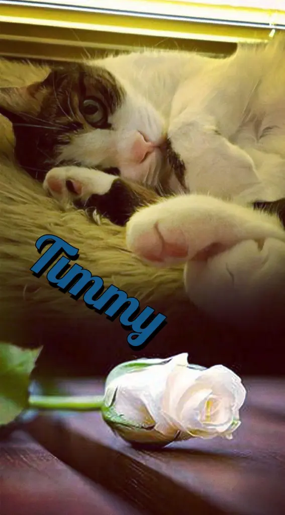 Condolence image of Ellen mit Lina ♥️