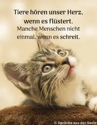 Condolence image of Jutta mit ♥️♥️ Flash ♥️♥️