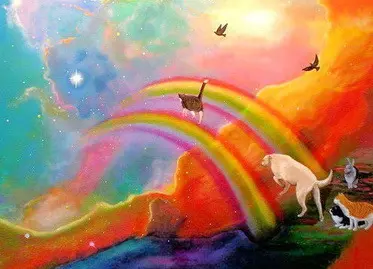 Condolence image of Sabine mit Kaspar tief im Herzen