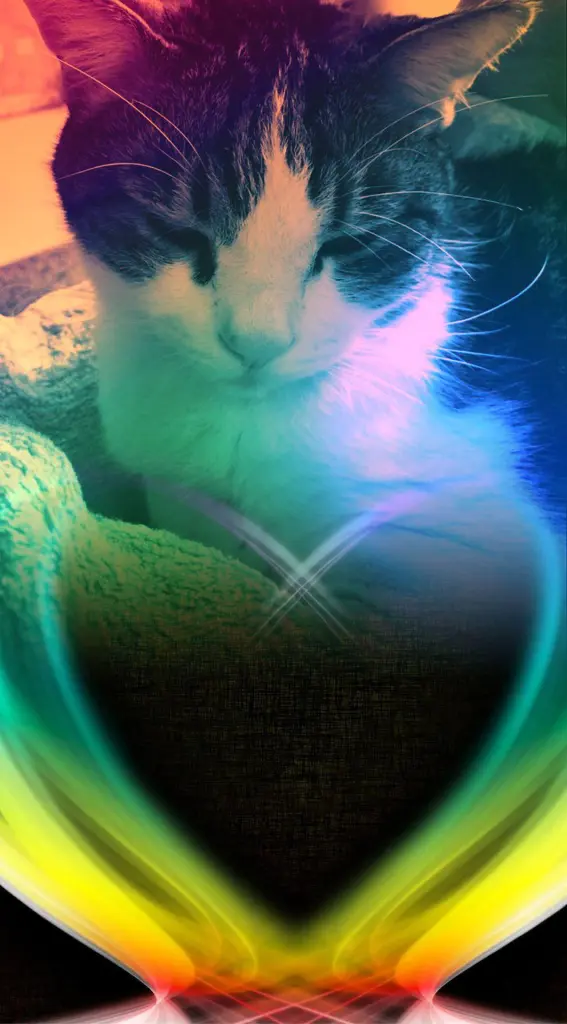 Condolence image of Ellen mit Lina ♥️