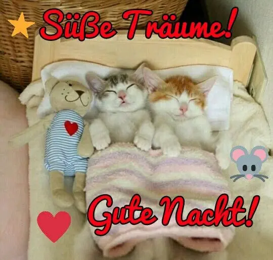 Condolence image of Ellen mit Lina ♥️