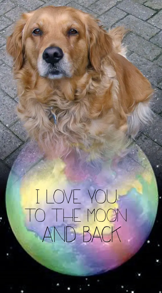 Condolence image of Ellen mit Lina ♥️