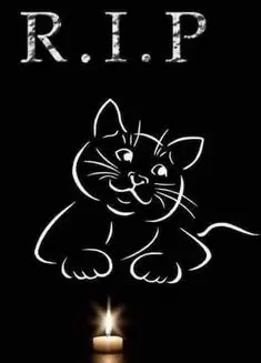 Condolence image of Von Deinem Frauchen Tanja