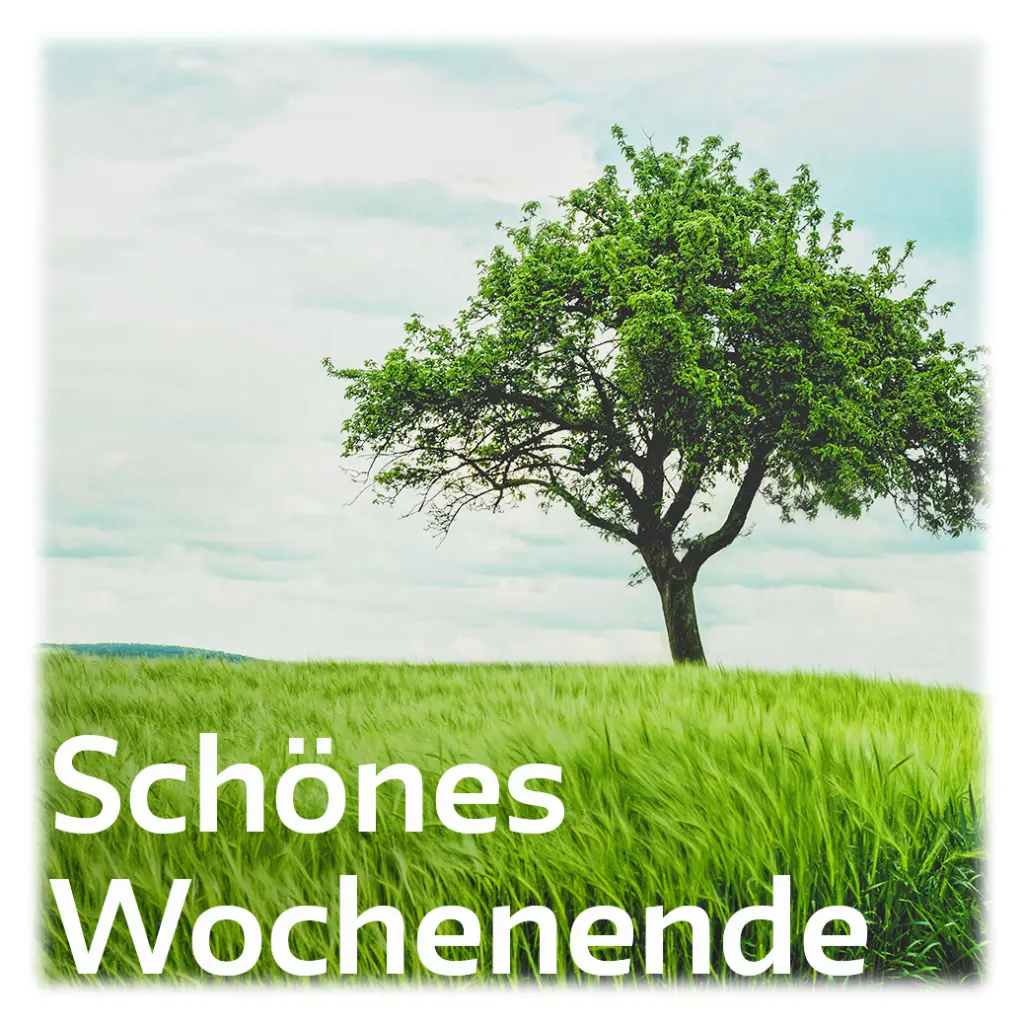 Condolence image of Sabine mit Kaspar tief im Herzen