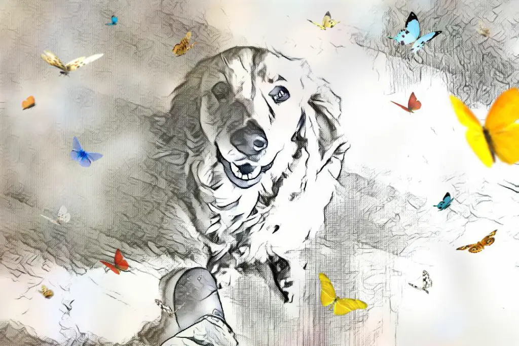 Condolence image of Ellen mit Lina ♥️