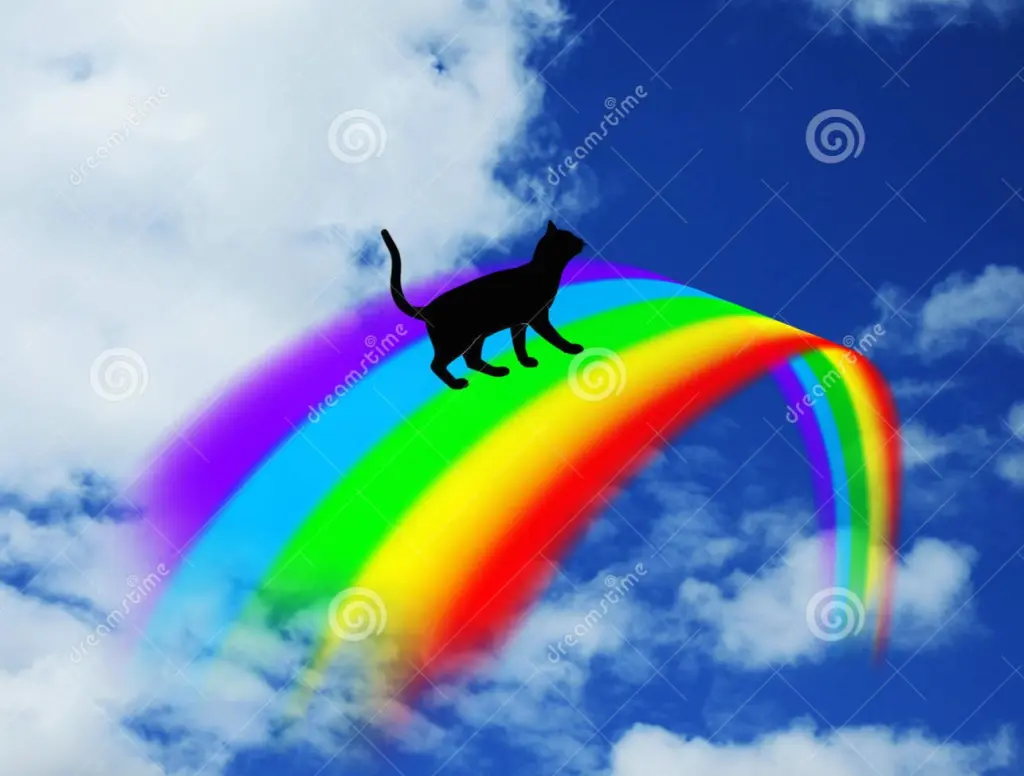 Condolence image of Von Deinem Frauchen Tanja