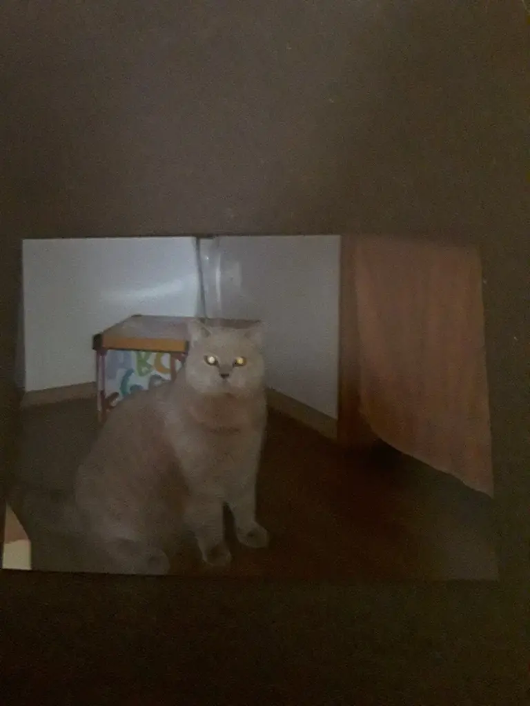 Condolence image of Post für Tanja