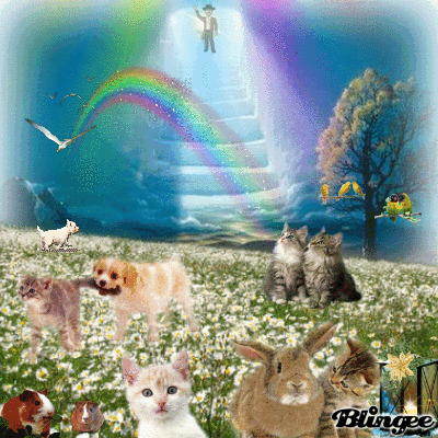 Condolence image of Ellen mit Lina ♥️