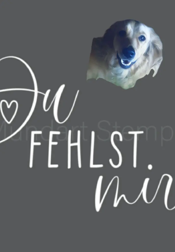 Condolence image of Ellen mit Lina ♥️