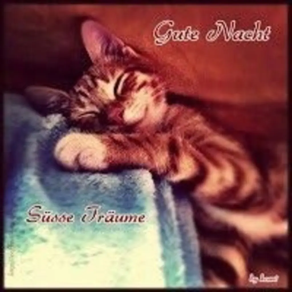 Condolence image of Ellen mit Lina ♥️