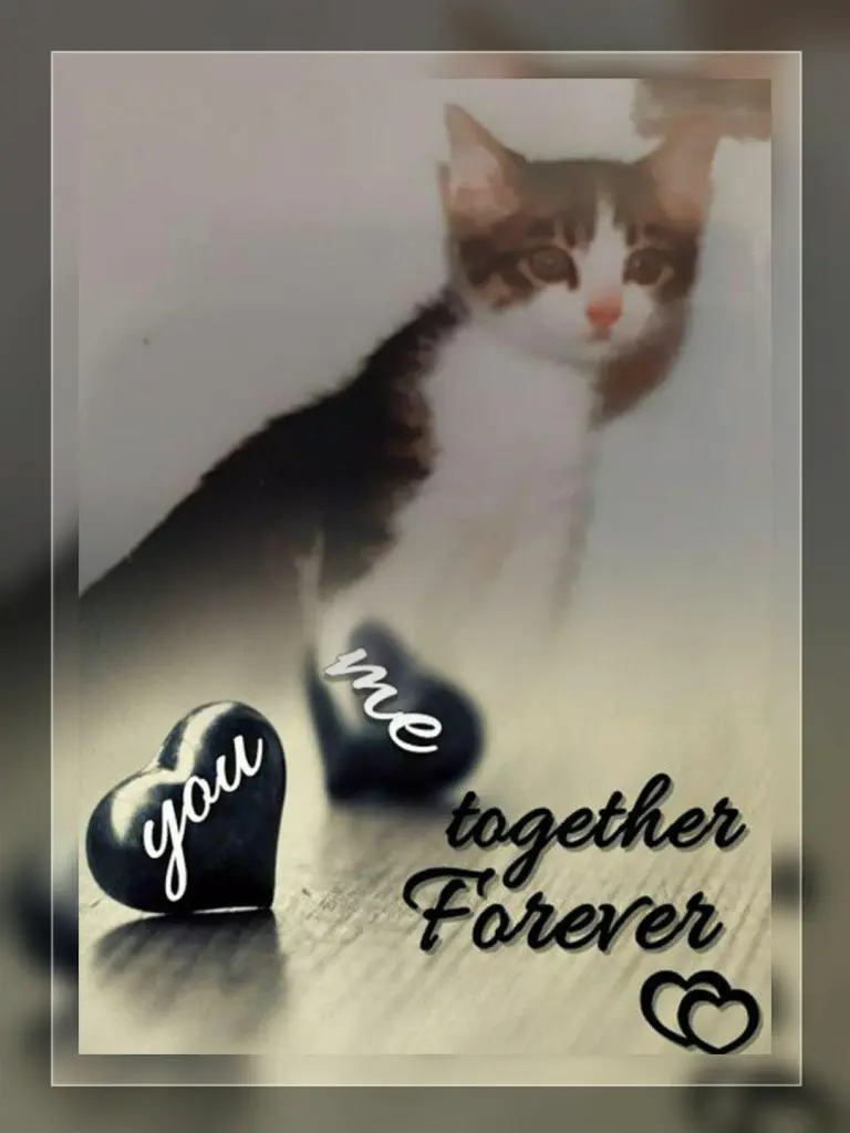 Condolence image of Ellen mit Lina ♥️