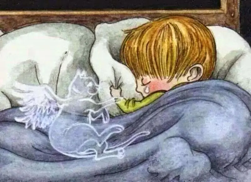 Condolence image of Von Deinem Frauchen Tanja