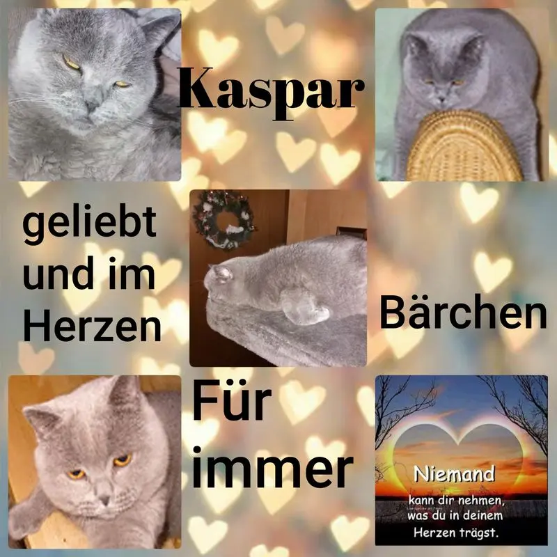 Condolence image of Sabine mit Kaspar tief im Herzen