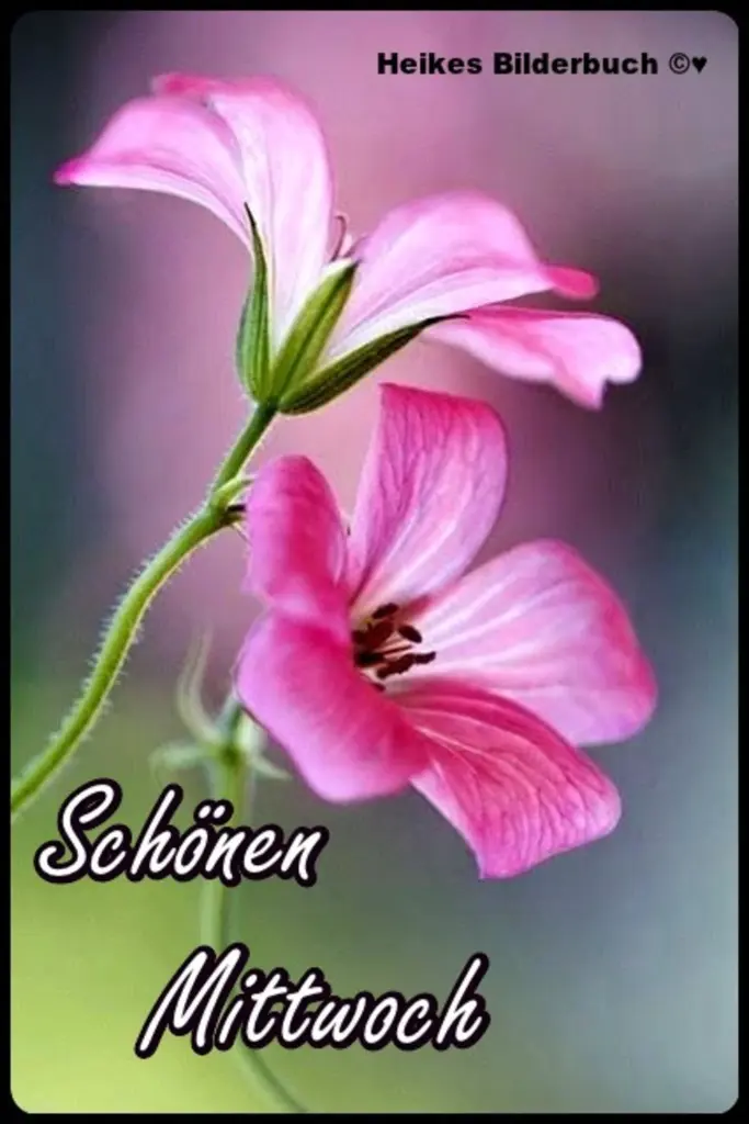 Condolence image of Ellen mit Lina ♥️