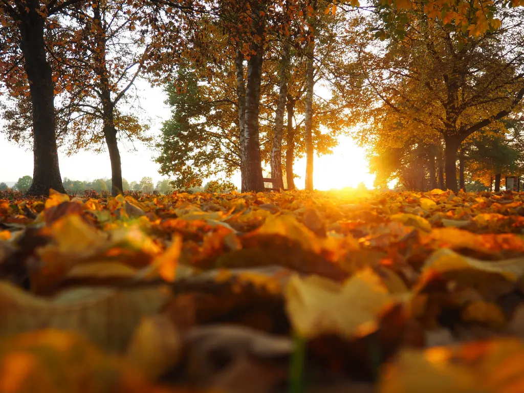 Condolence image of Ellen mit Lina ❤️
