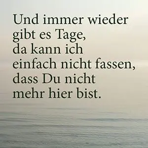 Condolence image of Von Deinem Frauchen Tanja