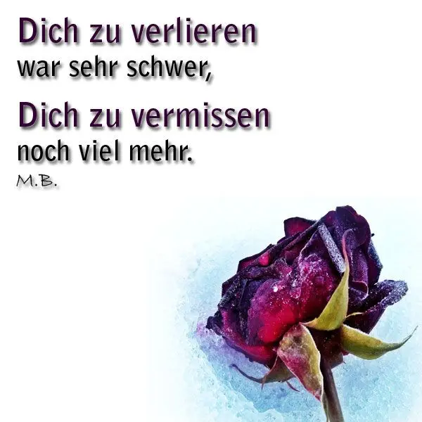 Condolence image of Von Deinem Frauchen Tanja