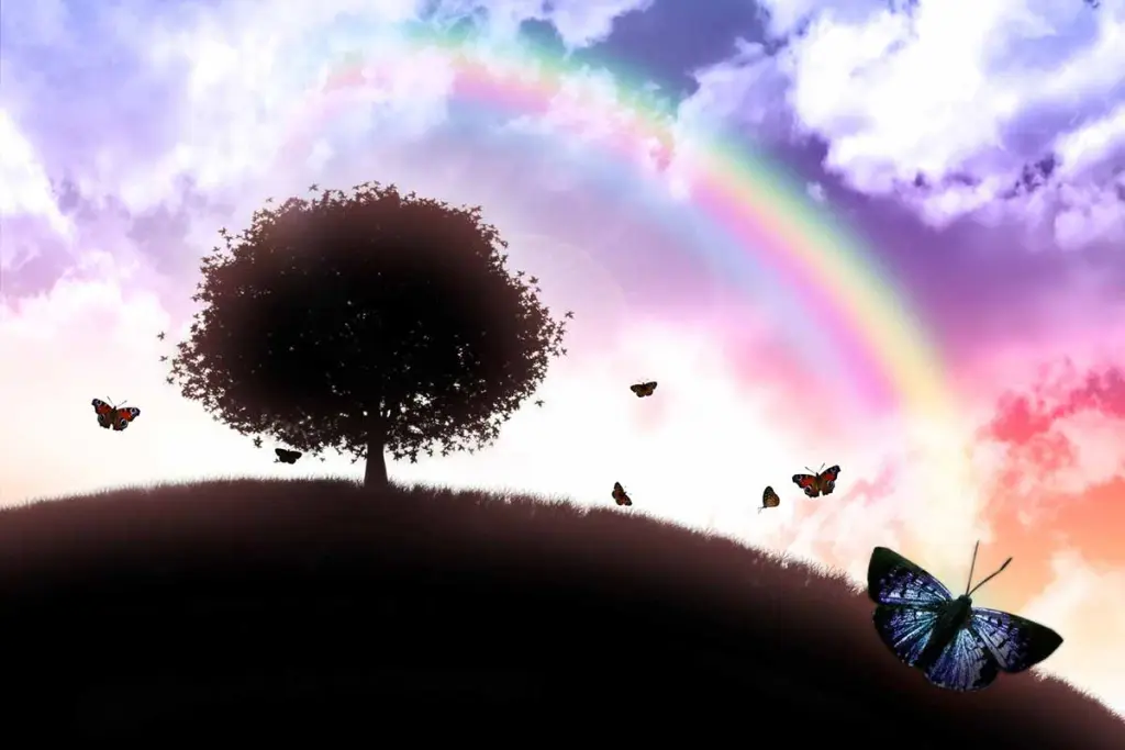 Condolence image of 15 Monate 