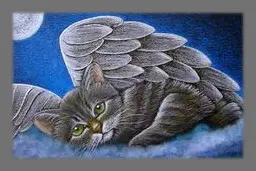 Condolence image of Sabine mit Kaspar tief im Herzen