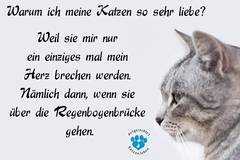 Condolence image of Von Deinem Frauchen Tanja