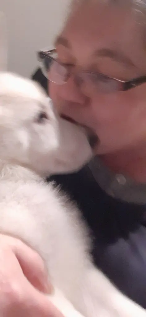 Condolence image of Ellen mit Lina ❤️