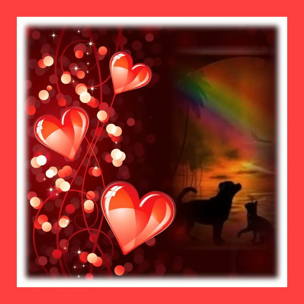 Condolence image of Sabine mit Kaspar tief im Herzen