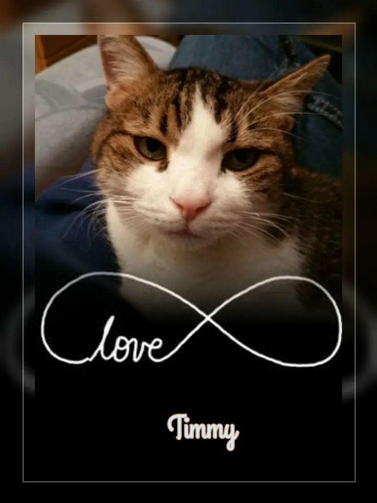 Condolence image of Ellen mit Lina ❤️