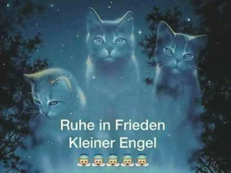 Condolence image of Von Deinem Frauchen Tanja