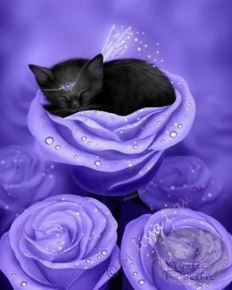 Condolence image of Von Deinem Frauchen Tanja